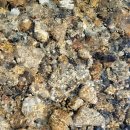 청산 캠프 이미지