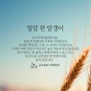 밀알