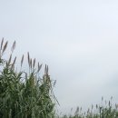 주남마을길 이미지