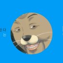 모가 이미지
