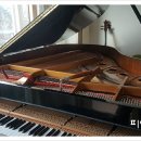 중앙동185 이미지