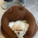 차영메이크업 - 마포구 | [홍대속눈썹펌] 차영메이크업 홍대점 방문후기