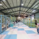 플레이팜 이미지