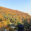 병천천로 네이버블로그