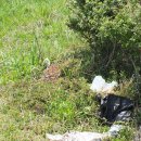 만성목장 이미지