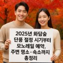 산정공원상록경로당 | 2025년 화담숲 단풍 절정 시기부터 모노레일 예약, 주변 명소와 숙소까지 총정리