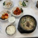 쌰라우투 속초 : shout out to SGY(속초, 고성, 양양)