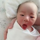 산골초가펜션 이미지