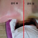 한생인 이미지