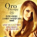 셰르헤어 - 동구 | 셰르헤어