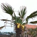 장도리민박 이미지