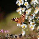 리언농장 이미지