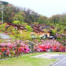 데미샘자연휴양림 이미지