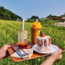 선택목장 이미지