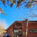 오렌지 꽃향기는 바람에 날리고 | 봉화 오렌지 꽃향기는 바람에 날리고