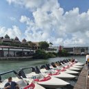 호텔정글(jungle) | 칸쿤 정글투어 후기｜아이와 함께한 스피드 보트+스노클링+맛집 코스까지