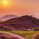 합천호스마일펜션 이미지