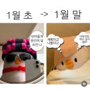 명동 뉴뉴 기프트샵🎁 / 그로브스토어 / 이삭토스트 콘치즈 / 청년다방 / 꼬꼬오리주물럭 / 김포 대형...