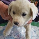 가야산로 이미지