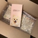 디어뭉치 | 강아지 종합 영양제 디어랩스 울애기쌩쌩 n번째 구매 내돈내산 후기,,,,ԾㅂԾ,,