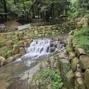 부산 청년도전지원사업 명상의 숲 체험 야외 힐링프로그램