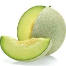 복지용구153 | 「방문요양」 멜론의 달콤한 비밀: 역사·효능·영양성분 완벽 가이드