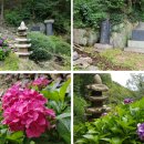 수리산 산림욕장 이미지