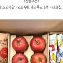 망고야애플아
