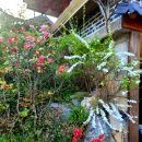 고운이네 한옥민박 이미지