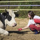 창포 목장 이미지