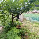 합천부동산공인중개사사무소 이미지