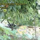 천안밤나무골가족사랑캠핑장 이미지
