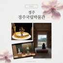 문화해설 여행쉼터2 | 국립경주박물관 - 신라천년서고후기 주차팁 관람팁 굿즈 경주실내가볼만한곳