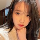 미인개 이미지
