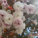 정임도서관 이미지