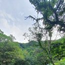 하늘아래펜션 이미지