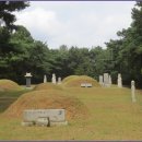 갈치호수길 이미지