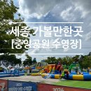 가운 중앙공원 | 세종 중앙공원 야외수영장 예약 후 평일 방문후기
