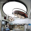 서서울동물병원 이미지