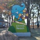 상주은모래비치 주차장 이미지