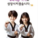 대진 윙 태권도 이미지