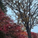 경안로42번길 이미지