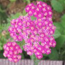 정원약국 이미지