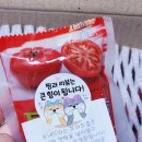 동림농장 이미지