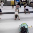 도둔태권스쿨태권도장 이미지