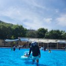 용호로15번길(2-168) | [경남 밀양] 해브솔 평상 대여 후기