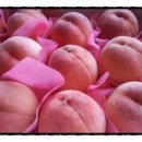 미진건강원 이미지