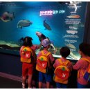 직지초등학교유치원 이미지