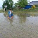 복동농장 이미지