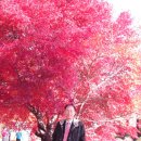 (주)제이에스홀딩스 이미지